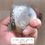 پک شانسی توخالی